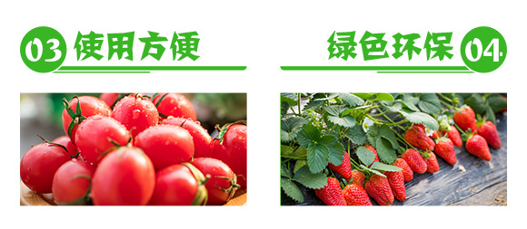 作物統(tǒng)防統(tǒng)治增產方案-穩(wěn)多收-萱化威遠_06