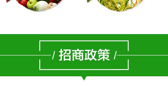 22%苯醚·咯·噻蟲-尚巧-國(guó)人福_08