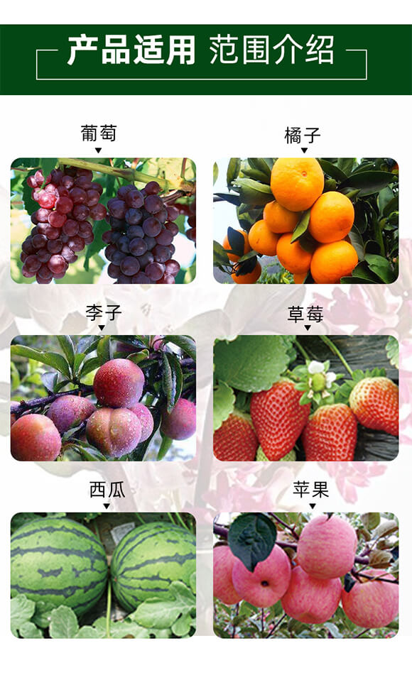 �������-һ�w����-��������_04