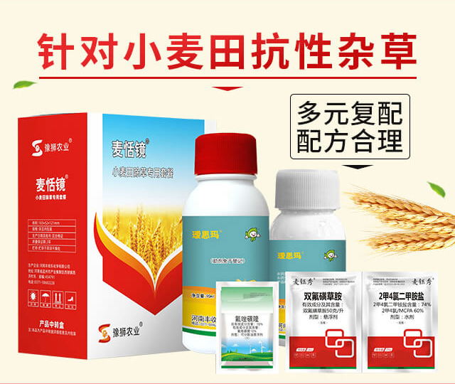 麥恬鏡-豐收樂(lè)_02