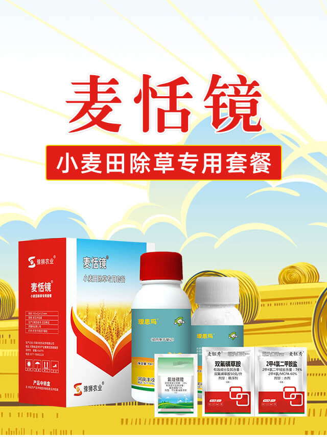 麥恬鏡-豐收樂(lè)_01