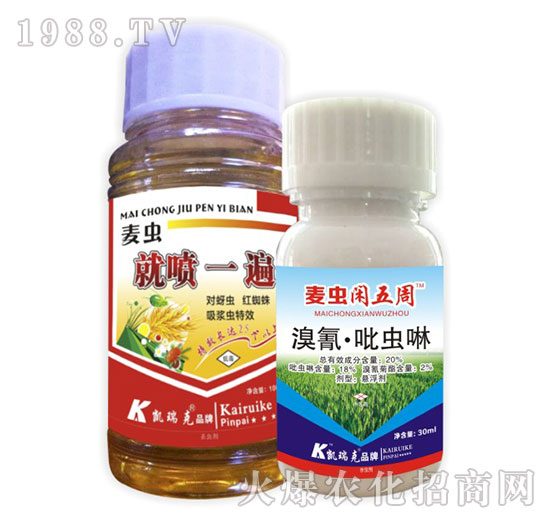 麥蟲(chóng)就噴一遍+麥蟲(chóng)閑五周-凱瑞克