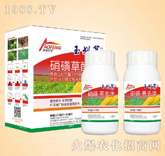 玉劃算組合-同豐