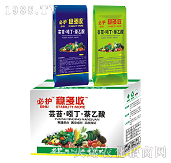 �|̦���Ŷ���������-��(w��n)����-�滯���h