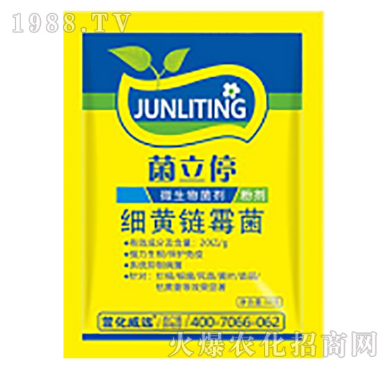 ���S�ù��-����ͣ-�滯���h