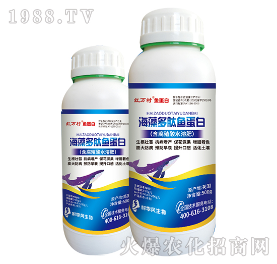 ��������~����-���˹����r��