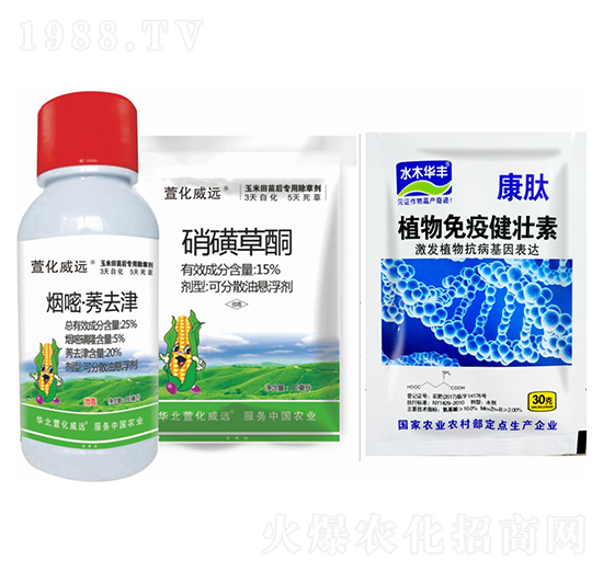 煙嘧莠去津+硝磺草酮+植物免疫健壯素-萱化威遠