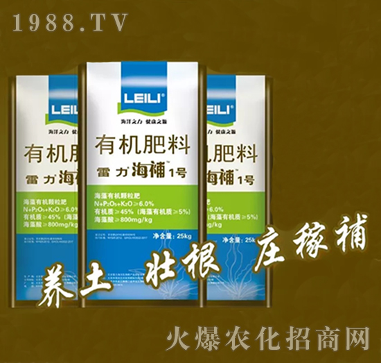 �ЙC(j��)����-����1̖-����