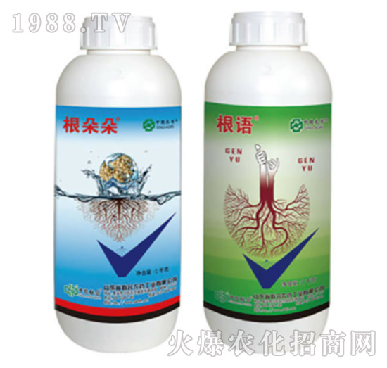 0.5%阿維菌素+5%噻唑膦-根朵朵+根語-中農(nóng)聯(lián)合