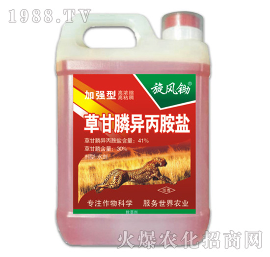 41%�ݸ�좮������}���ӏ�(qi��ng)�ͣ�-���L(f��ng)�z-�ݵ�˹