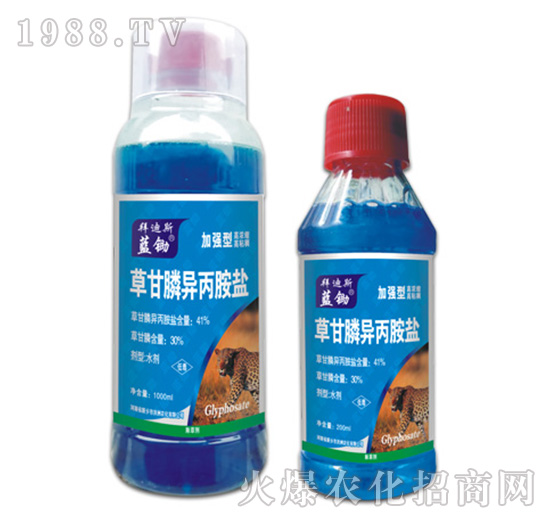 41%�ݸ�좮������}-�{�z-�ݵ�˹