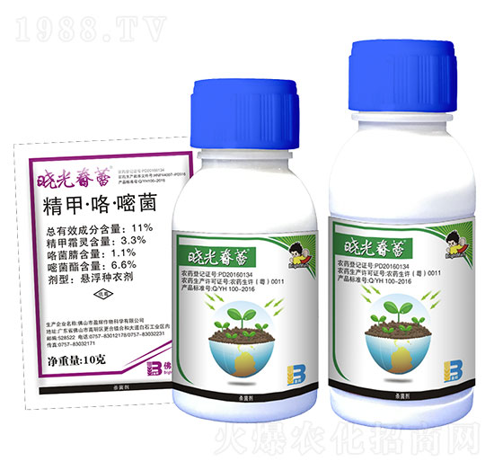 11%精甲·咯·嘧菌-曉光春蕾-盈輝