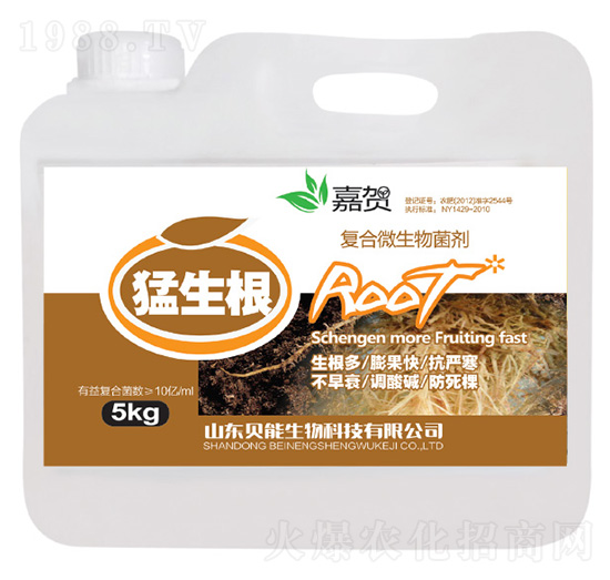 ��(f��)��΢�������-������-ؐ������