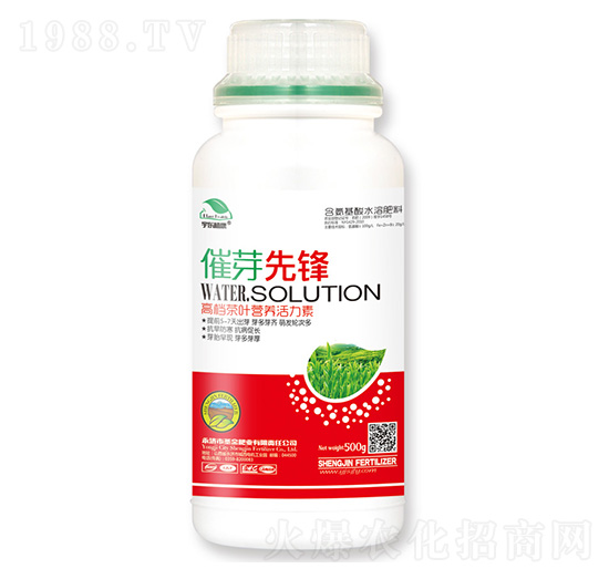 ݱ�~�I(y��ng)�B(y��ng)������-��ѿ���h-ʥ��ʘI(y��)