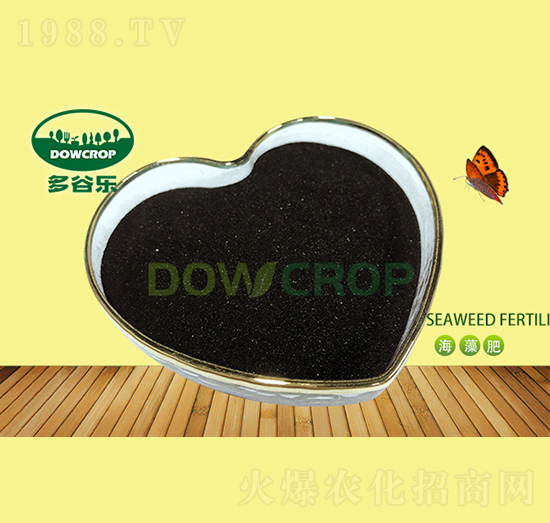 ��ĩ��徫-��Ș�