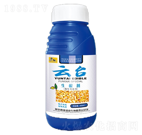 ������-���_