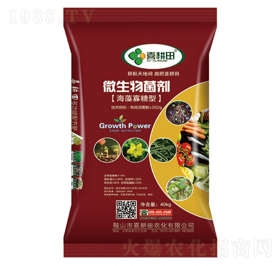 ���������΢�������-ϲ����