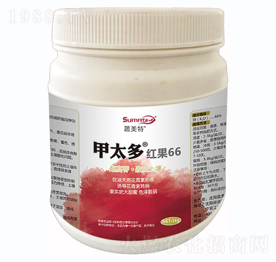 ��̫�ࡤ�t��66-������