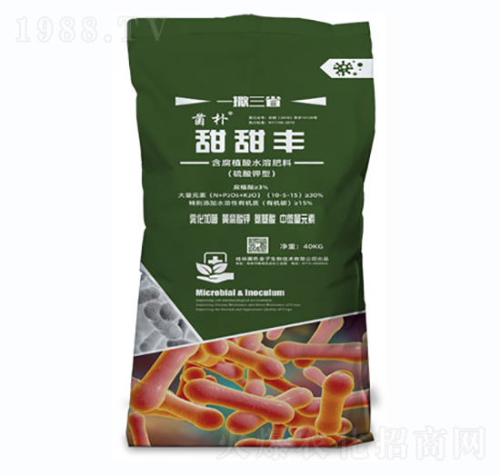 һ����ʡ�����S-��ɫ����