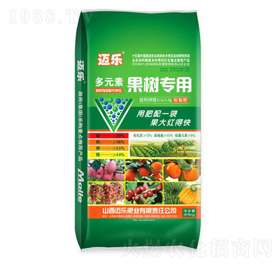 ��Ԫ�ع���(sh��)���÷�-�~��(l��)-�G��ɭ�r(n��ng)�I(y��)