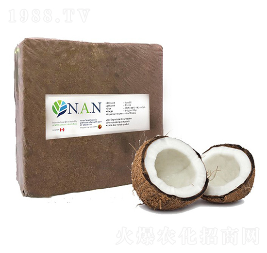 面包椰子（NAN）-沃格瑞