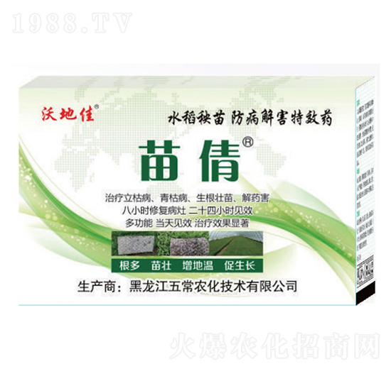 水稻秧苗防病解害專用-苗倩-五常