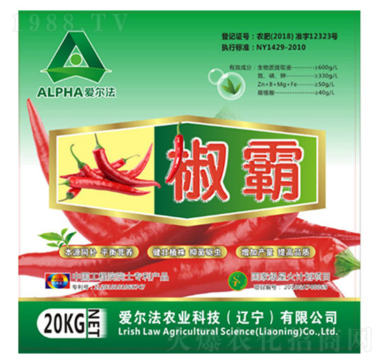 Һ�w��-����-�۠���