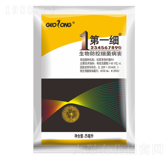 枯草芽孢桿菌-第1細(xì)-植物龍