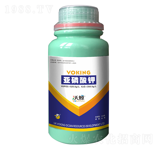 �������0-520-350-���L