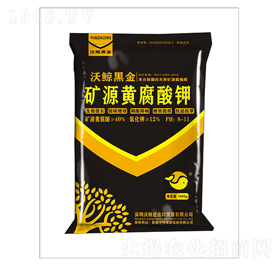 40%�VԴ�S�����-�ڽ�2̖-���L