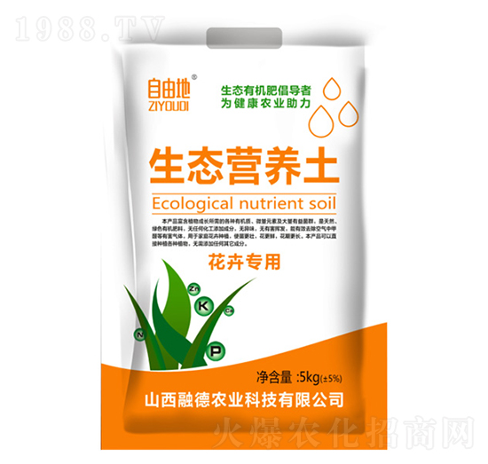 ���܌������B(t��i)�I�B(y��ng)��-���ɵ�-�ڵ��r(n��ng)�I(y��)