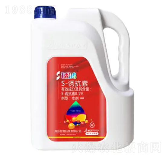 ֲ�{����ɫ�ι�ˎ��-�T��-ʩ������