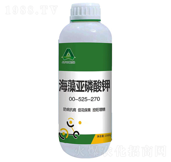 ���偆�����-��(��i)����