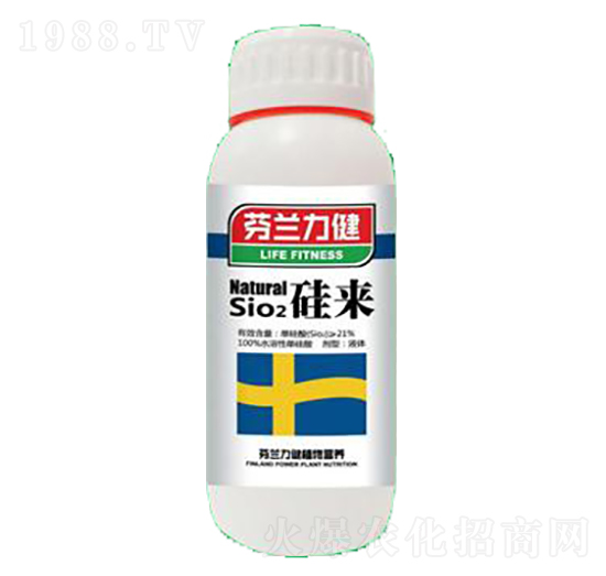 ���-����������