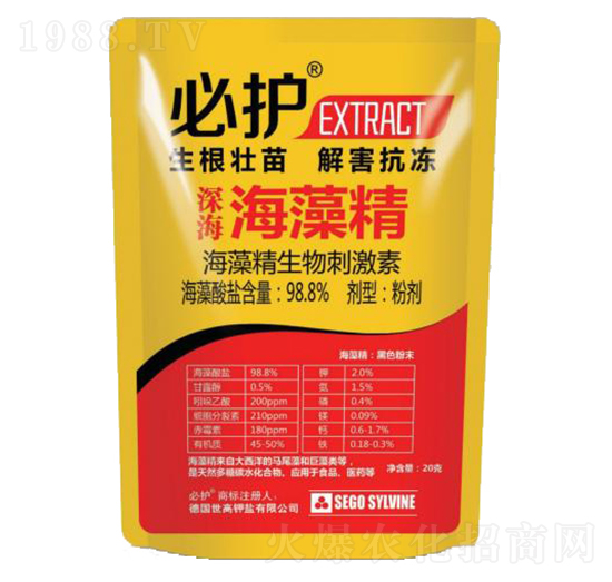 ����徫-���o-����������