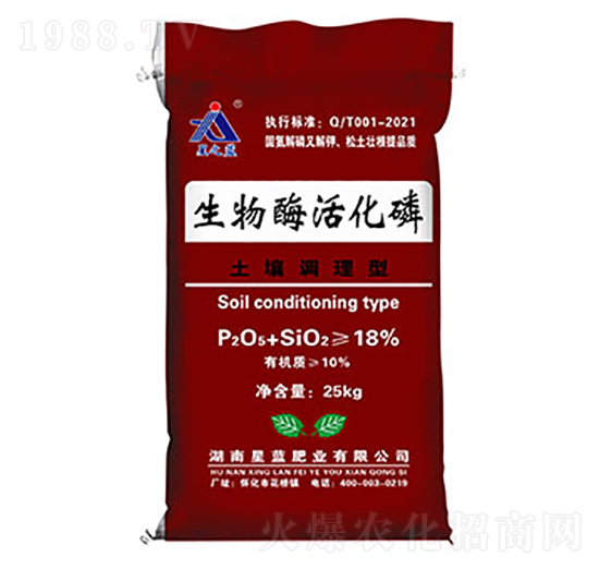 �����{��������ø���-���{�ʘI(y��)