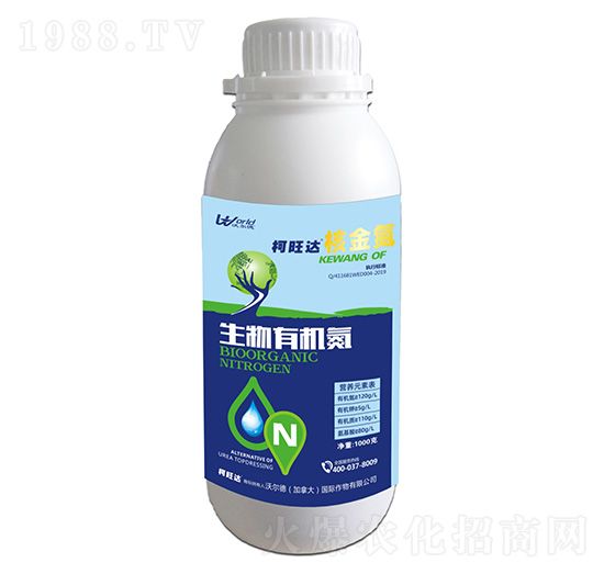 �˽�-�����_-�֠����r(n��ng)�I(y��)