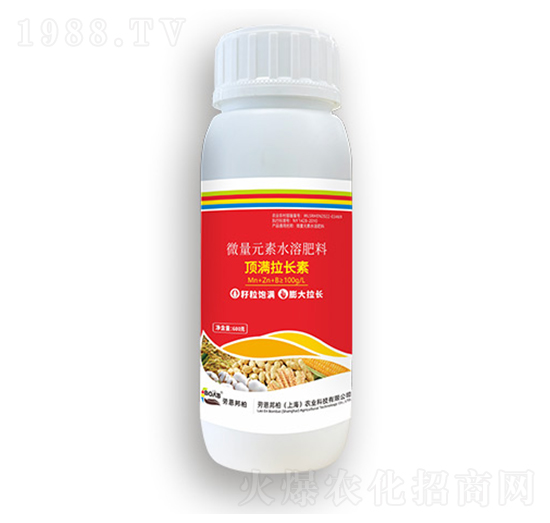 픝M(m��n)���L(zh��ng)��-�ڶ����