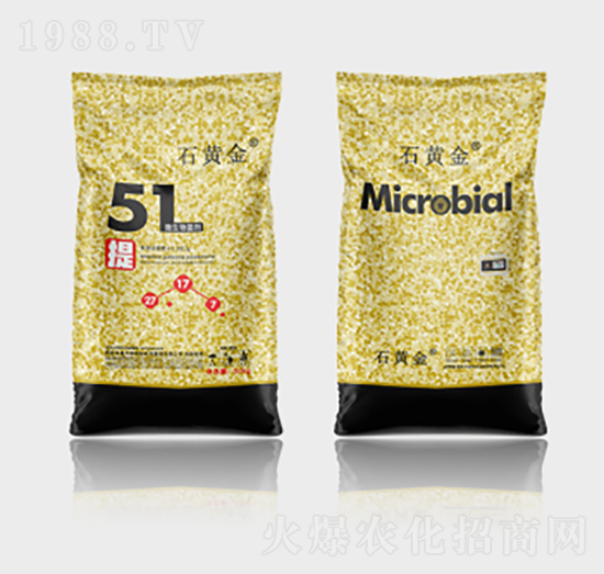 ΢�������51��-ʯ�S��