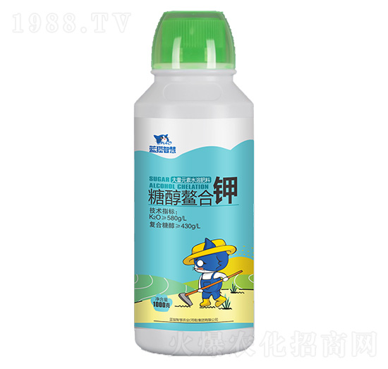 �Ǵ������-�{؈�ǻ�