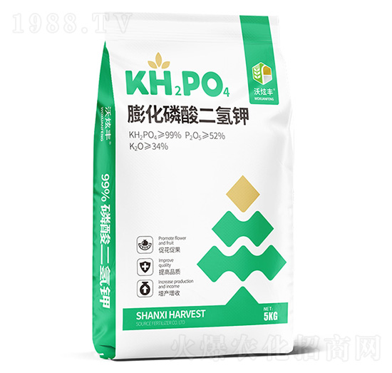 ����������-�����S-�ɿ����ʘI(y��)