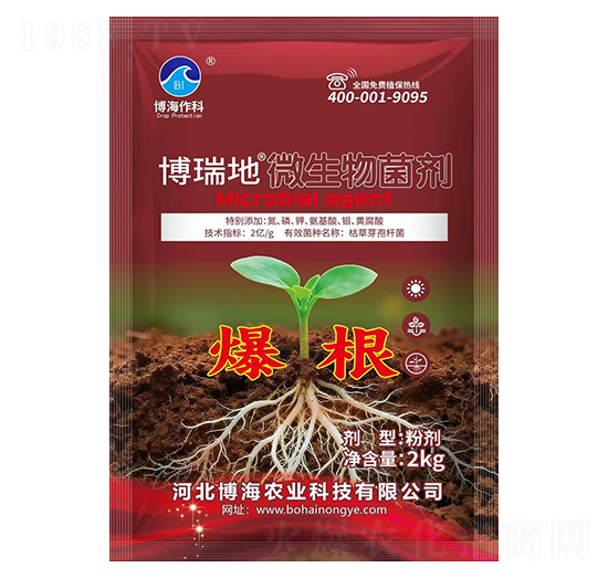 微生物菌劑(爆根)-博瑞地-博海作科