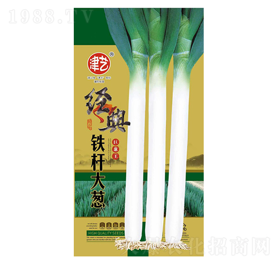 大蔥種子-鐵桿大蔥-邯豐農(nóng)業(yè)