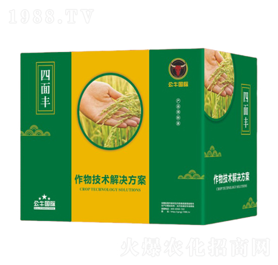 水稻增產(chǎn)技術(shù)解決方案-四面豐-公牛國(guó)際