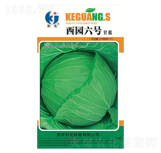 ���@��̖-�ƹ�N��