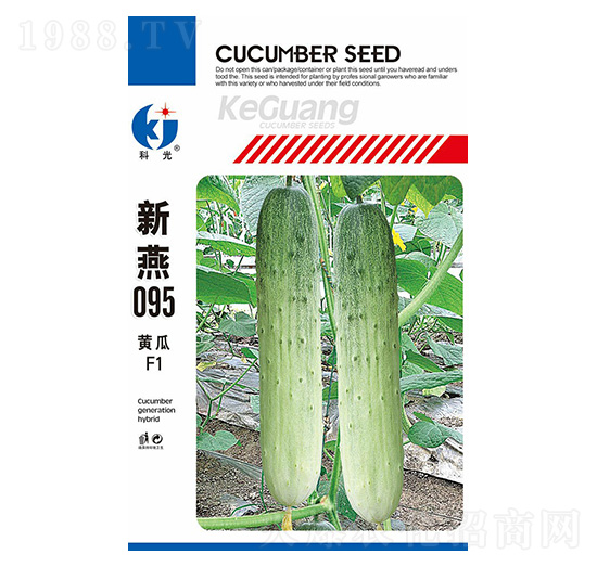 ����095-�ƹ�N��