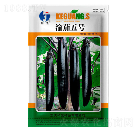 ����5̖-�ƹ�N��