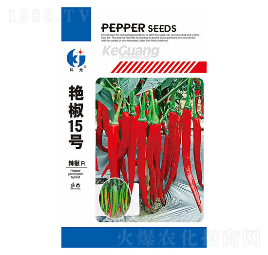 �G��15̖-�ƹ�N��