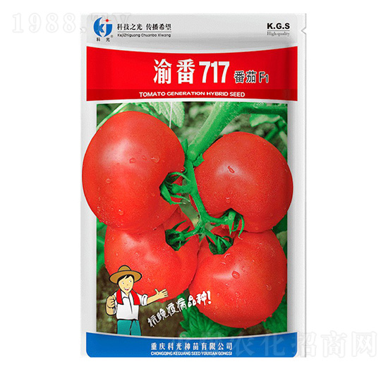 �巬717-�ƹ�N��