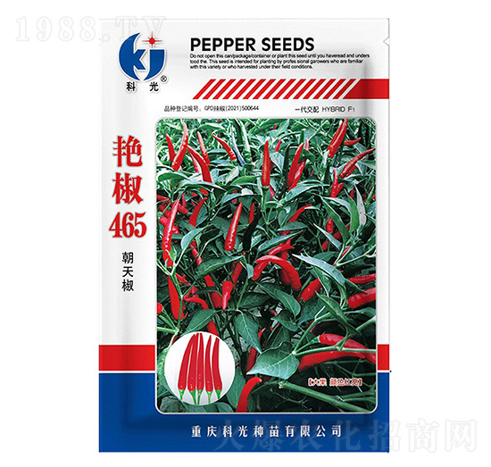 �G��465�����N��-�ƹ�N��